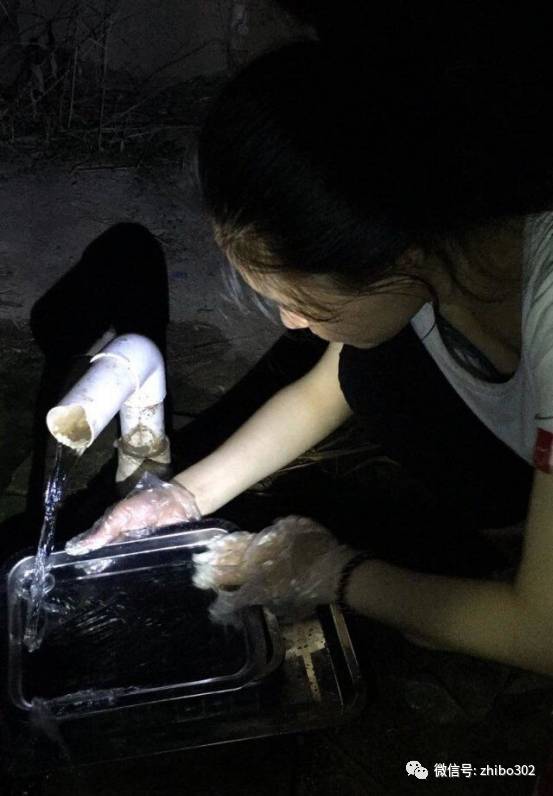 1528707557611193.jpg 12.jpg